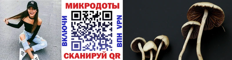Галлюциногенные грибы мицелий  Купить где  Лодейное Поле 