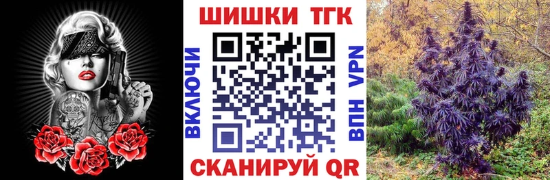 Конопля сатива  Купить закладки  Лодейное Поле 